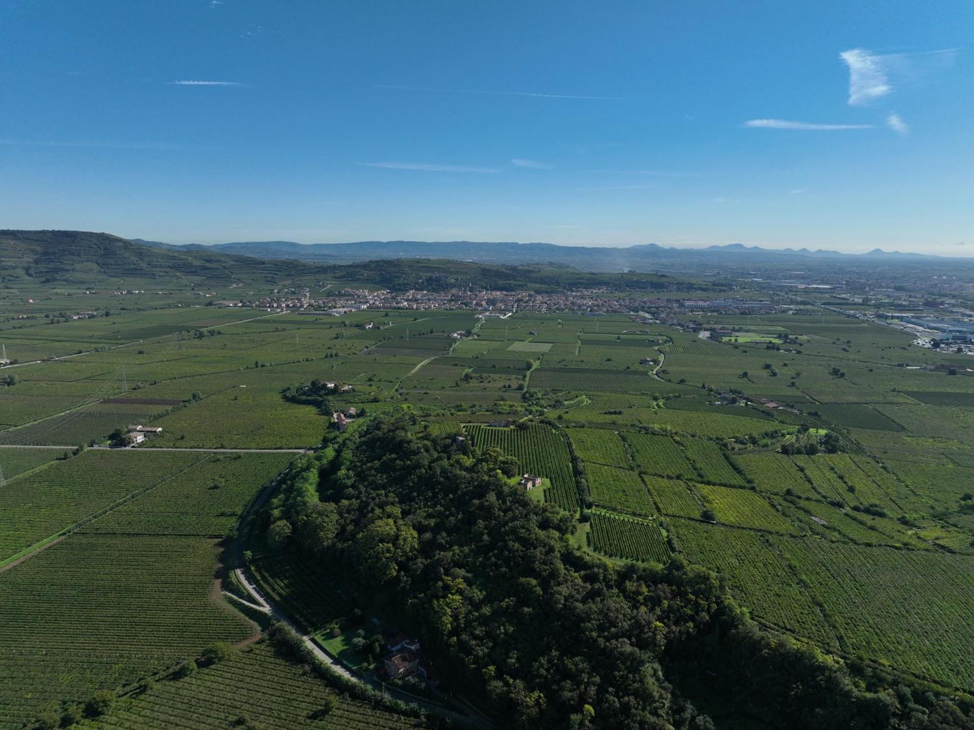 Agriturismo Monte Bisson Soave  Luaran gambar